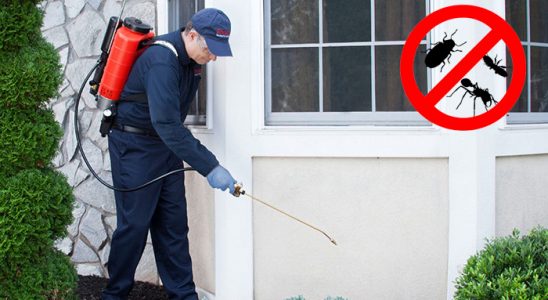 Hacılar Akrep İlaçlama böcek ilaçlama ve haşere kontrolü — ilaclama-tr.com